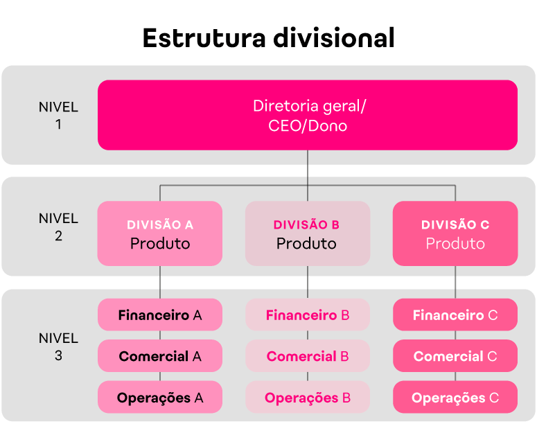 Estrutura organizacional de uma empresa: tipos e como montar